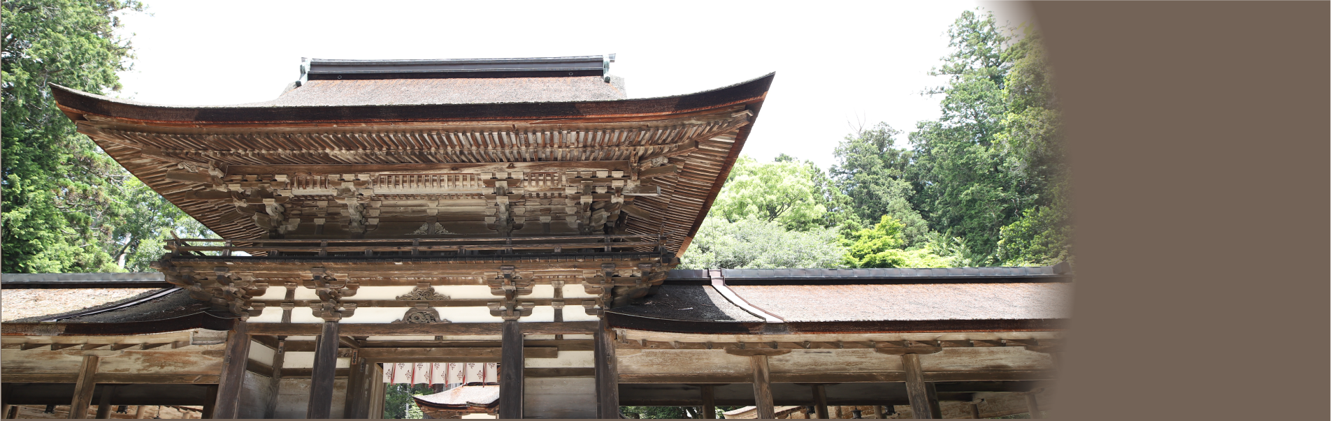 甲賀武士の崇敬を集めた甲賀の鎮守　油日神社（国指定重要文化財）